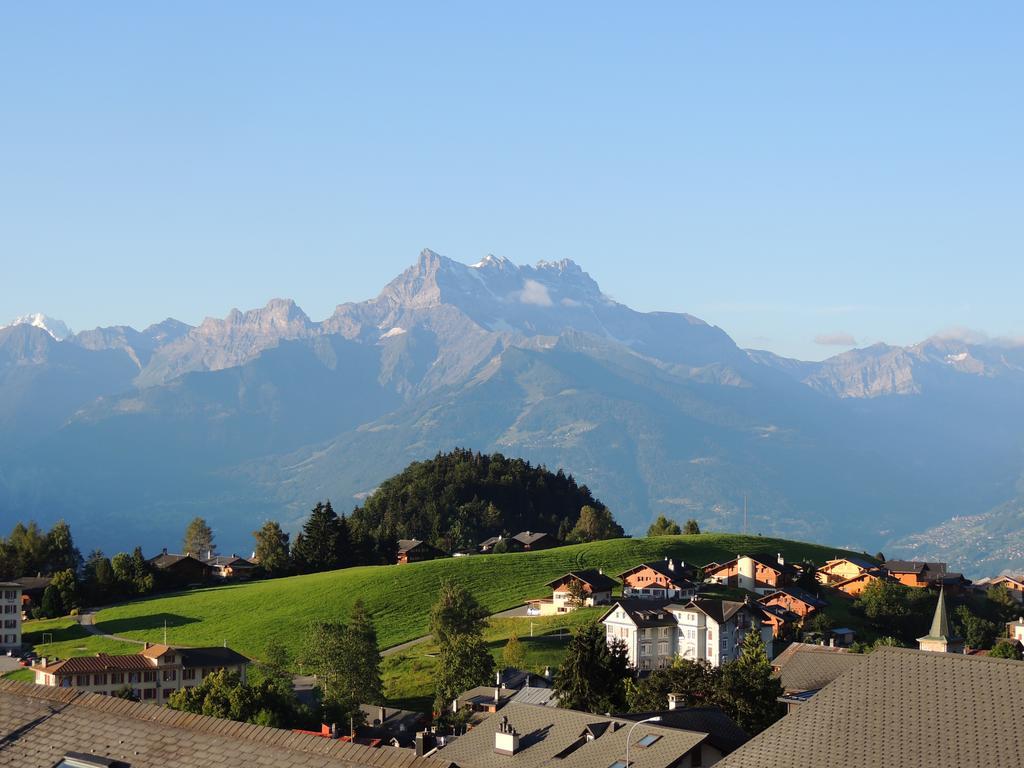 Alpine Classic Hotel